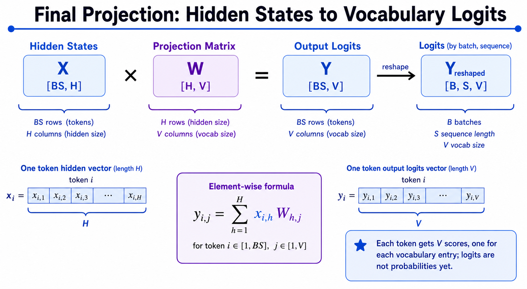 hidden states 经过输出投影得到词表 logits